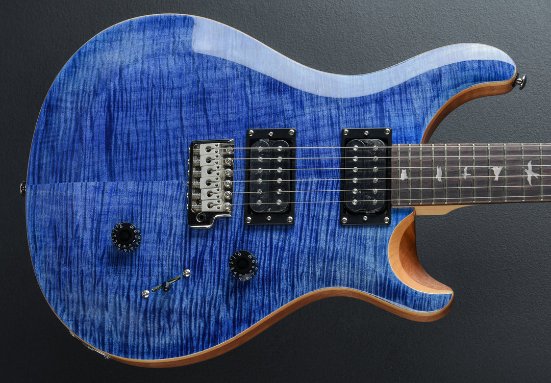 SE Custom 24 &