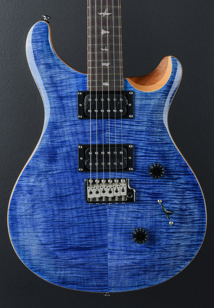 SE Custom 24 &