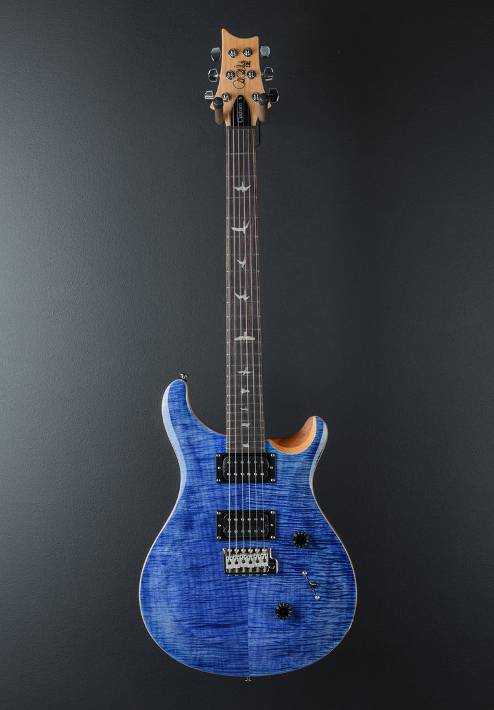SE Custom 24 &