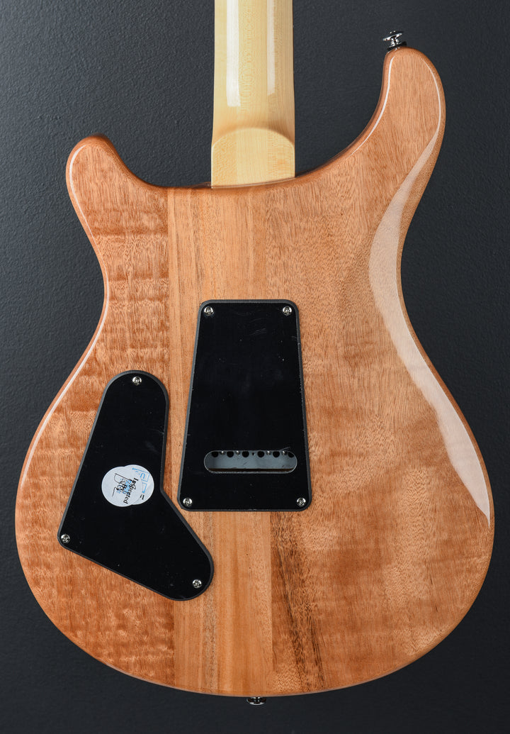 SE Custom 24 &