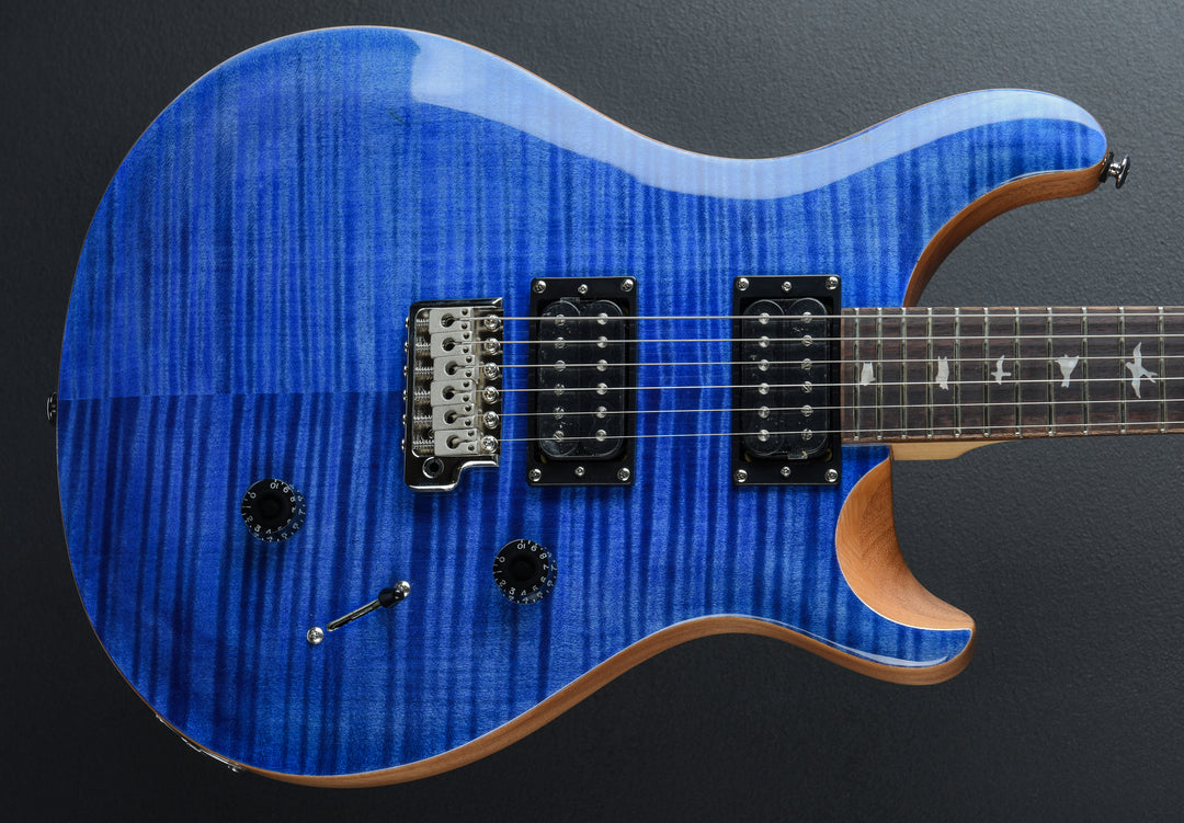 SE Custom 24 &