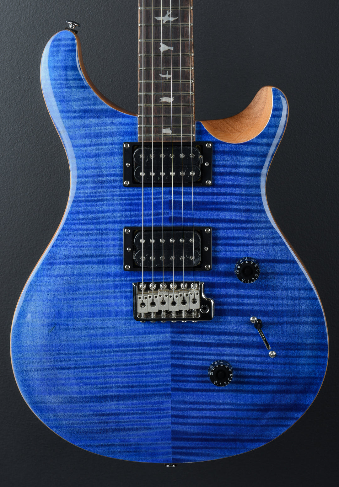 SE Custom 24 &