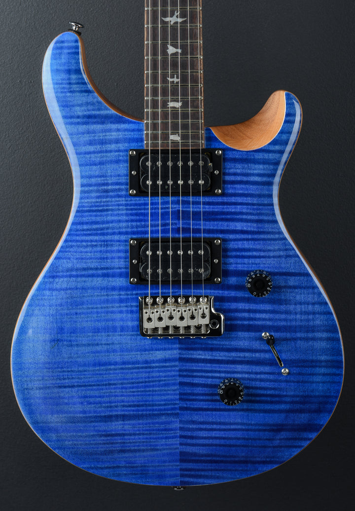 SE Custom 24 &