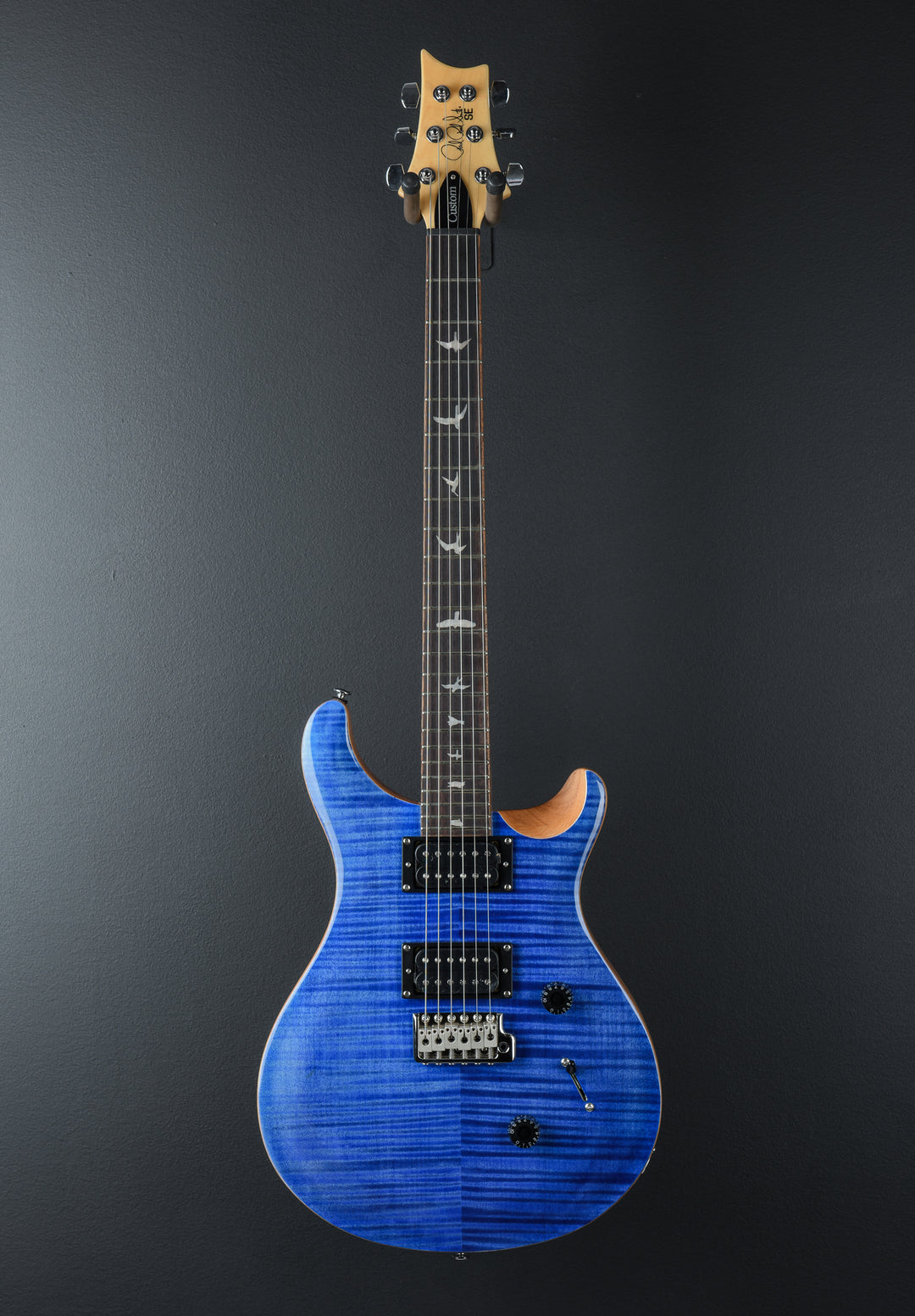 SE Custom 24 &