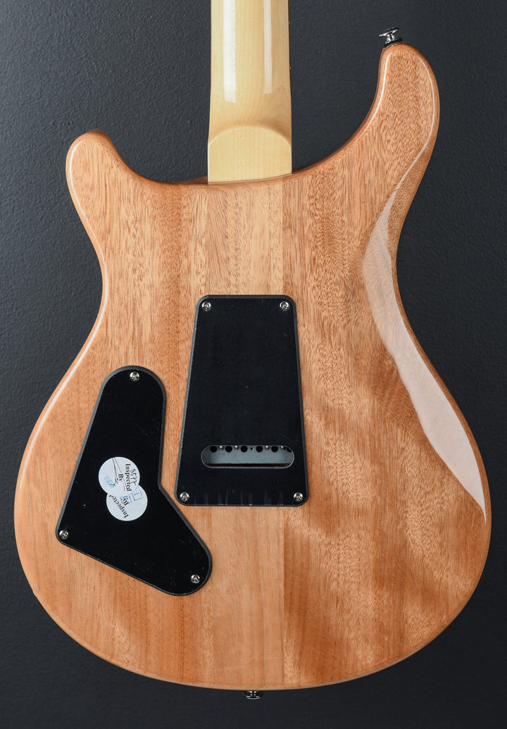 SE Custom 24 &