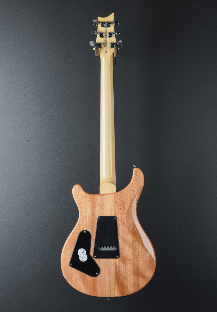 SE Custom 24 &