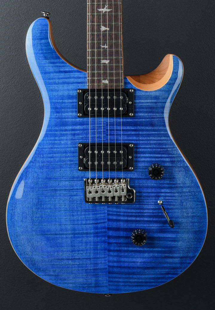 SE Custom 24 &