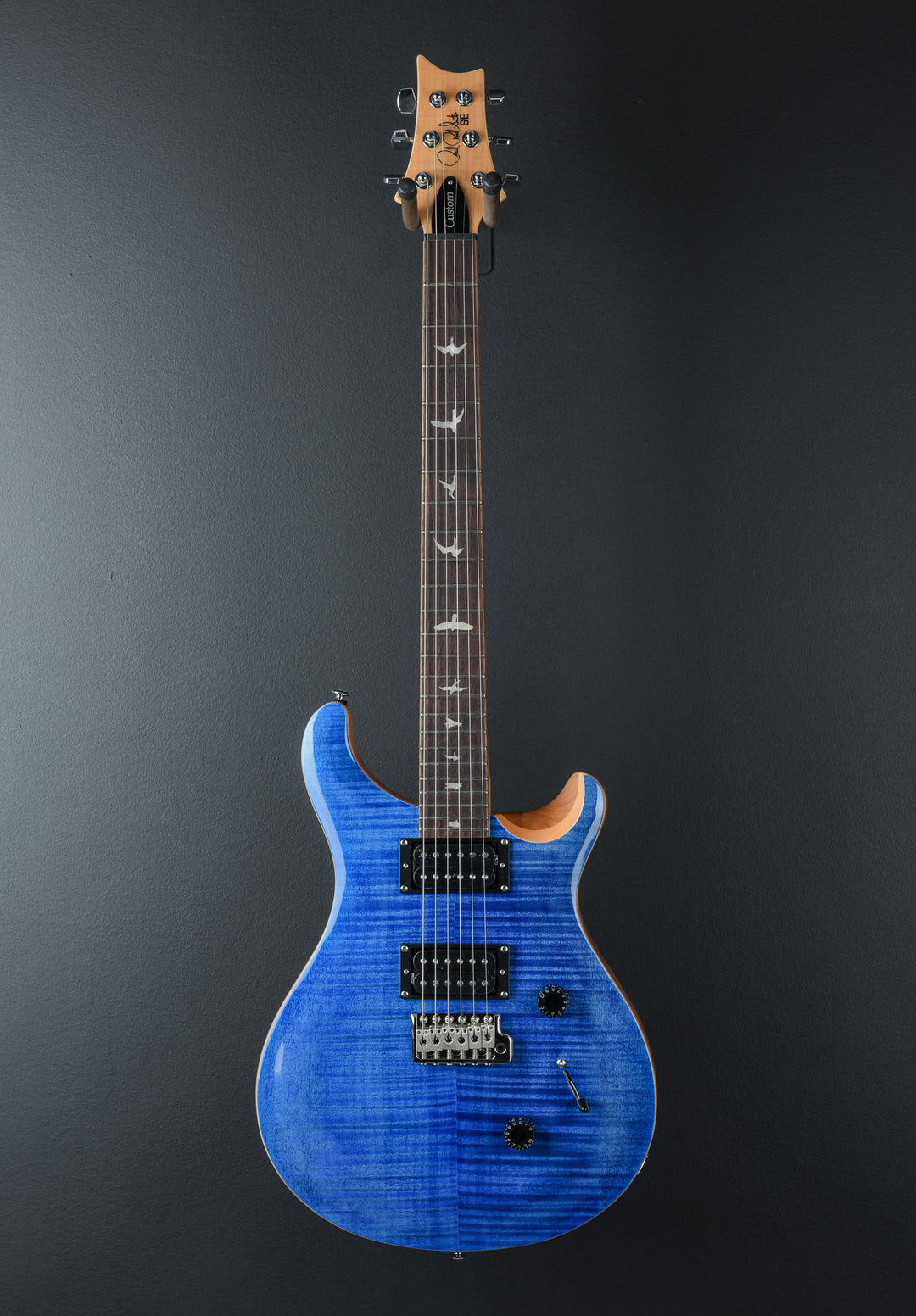 SE Custom 24 &