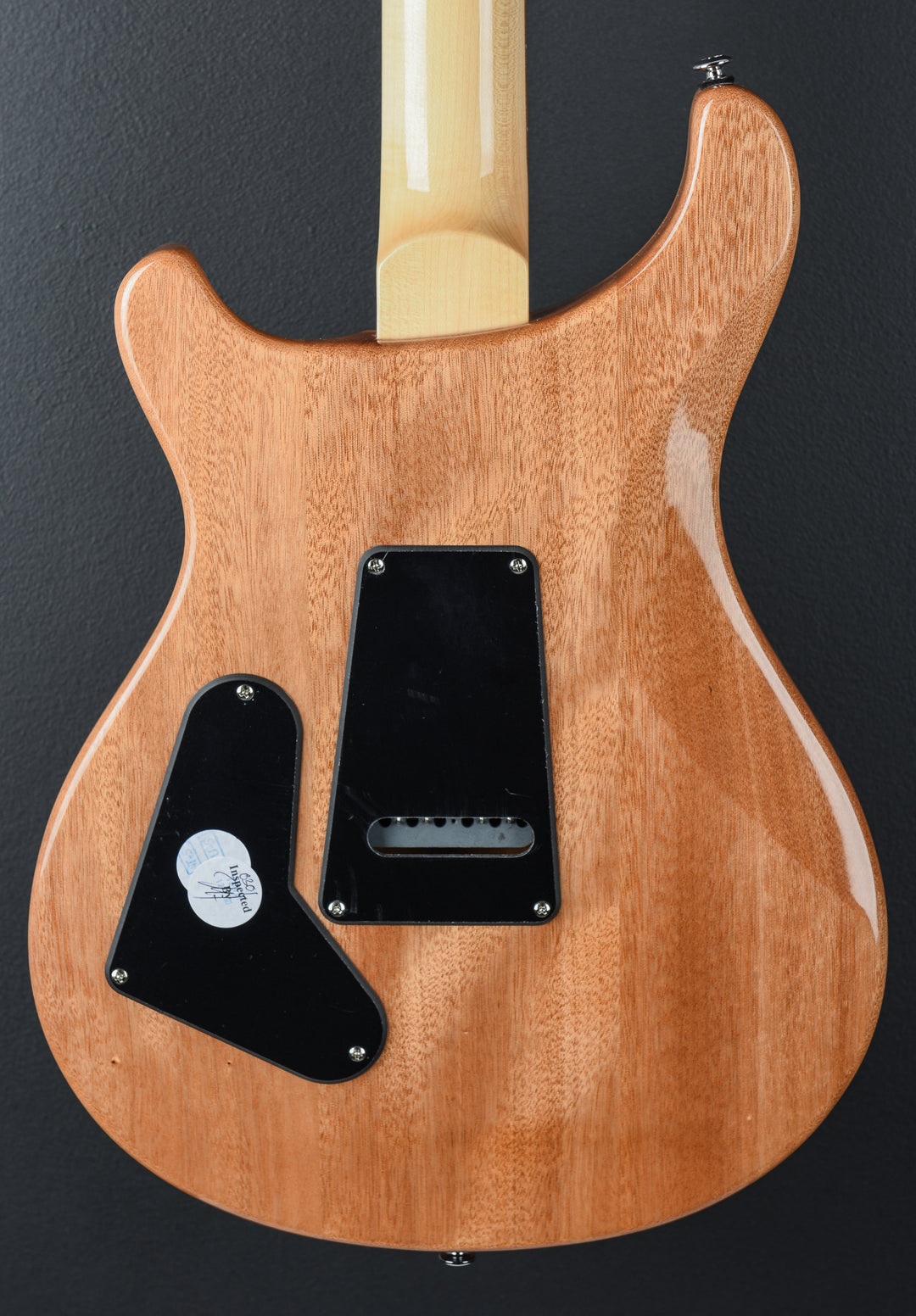 SE Custom 24 &