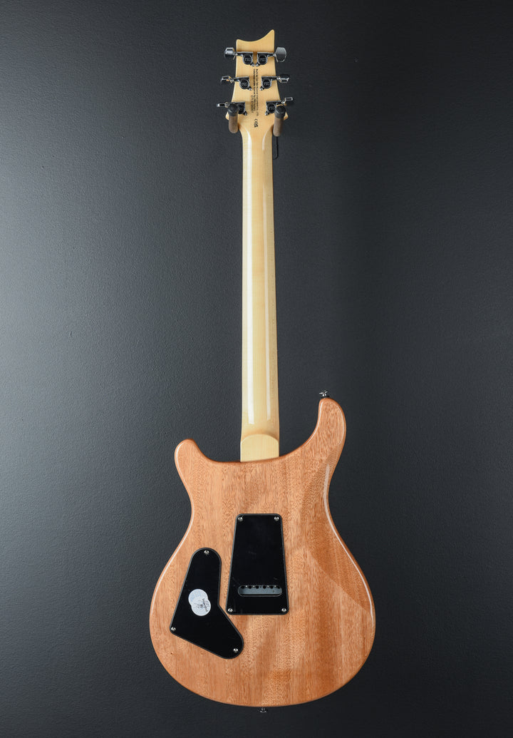 SE Custom 24 &