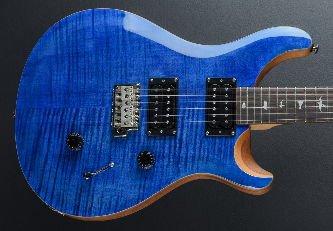 SE Custom 24 &