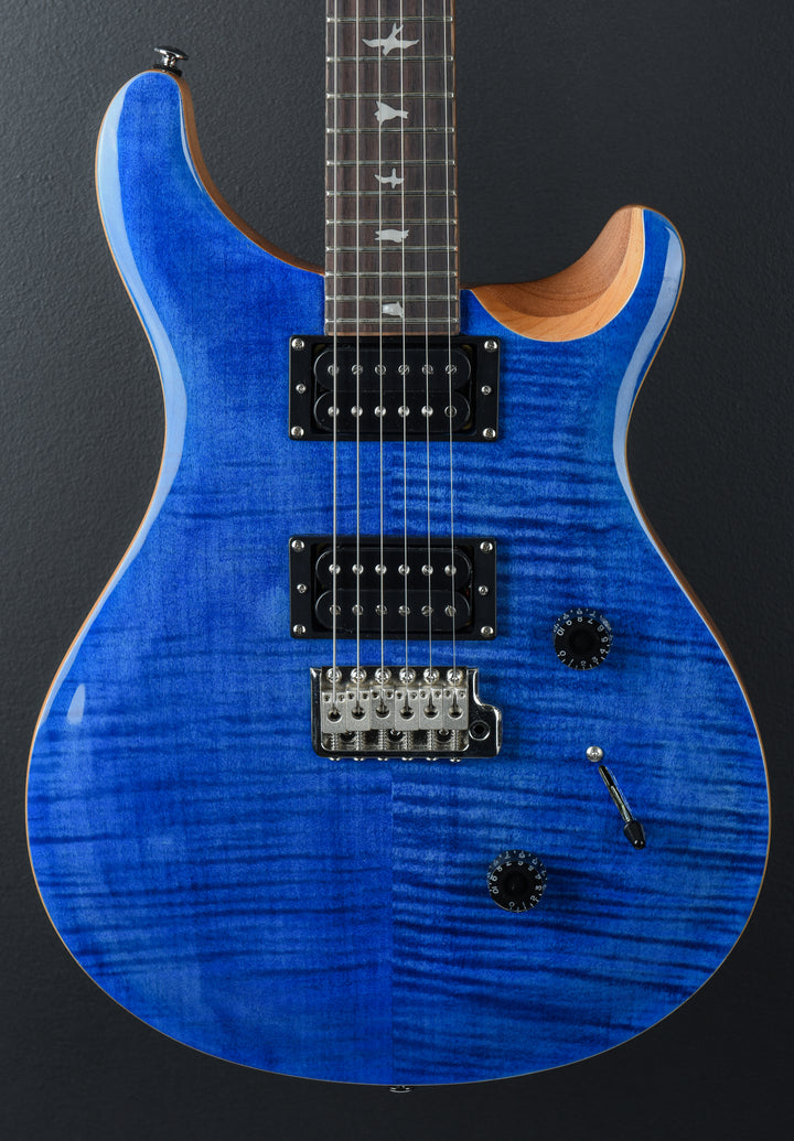 SE Custom 24 &