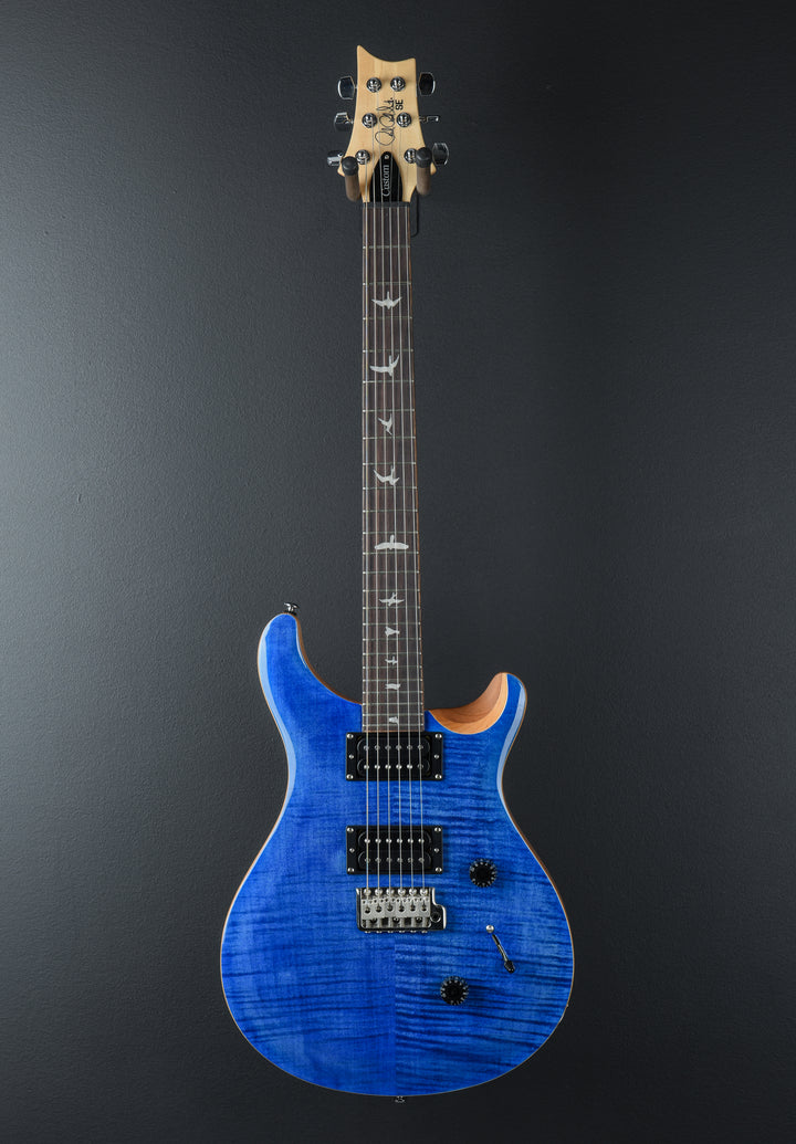 SE Custom 24 &