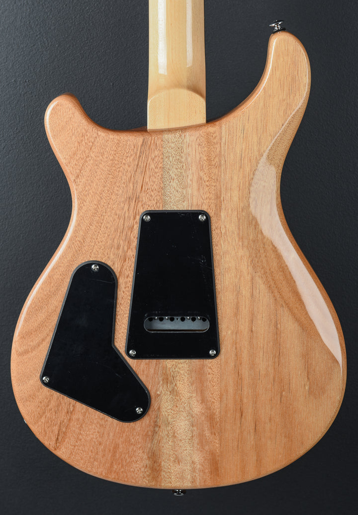 SE Custom 24 &