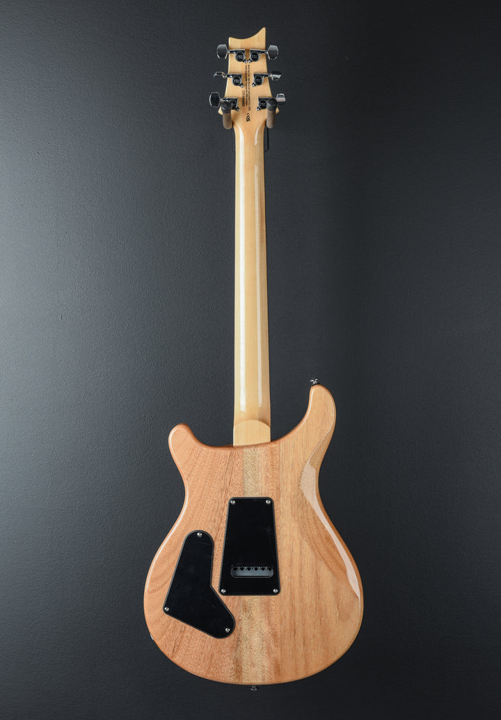 SE Custom 24 &