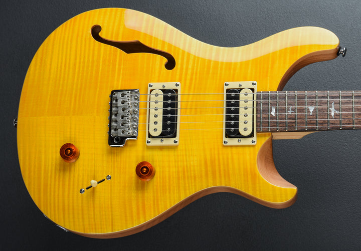 SE Custom 22 Semi-Hollow &