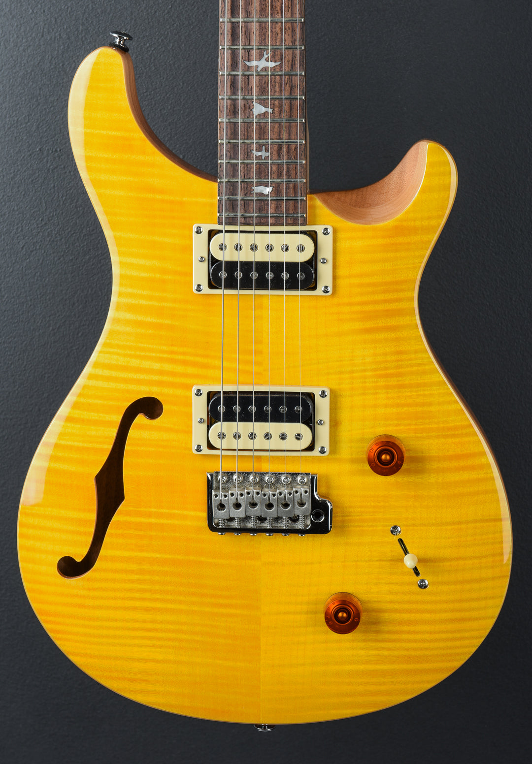 SE Custom 22 Semi-Hollow &
