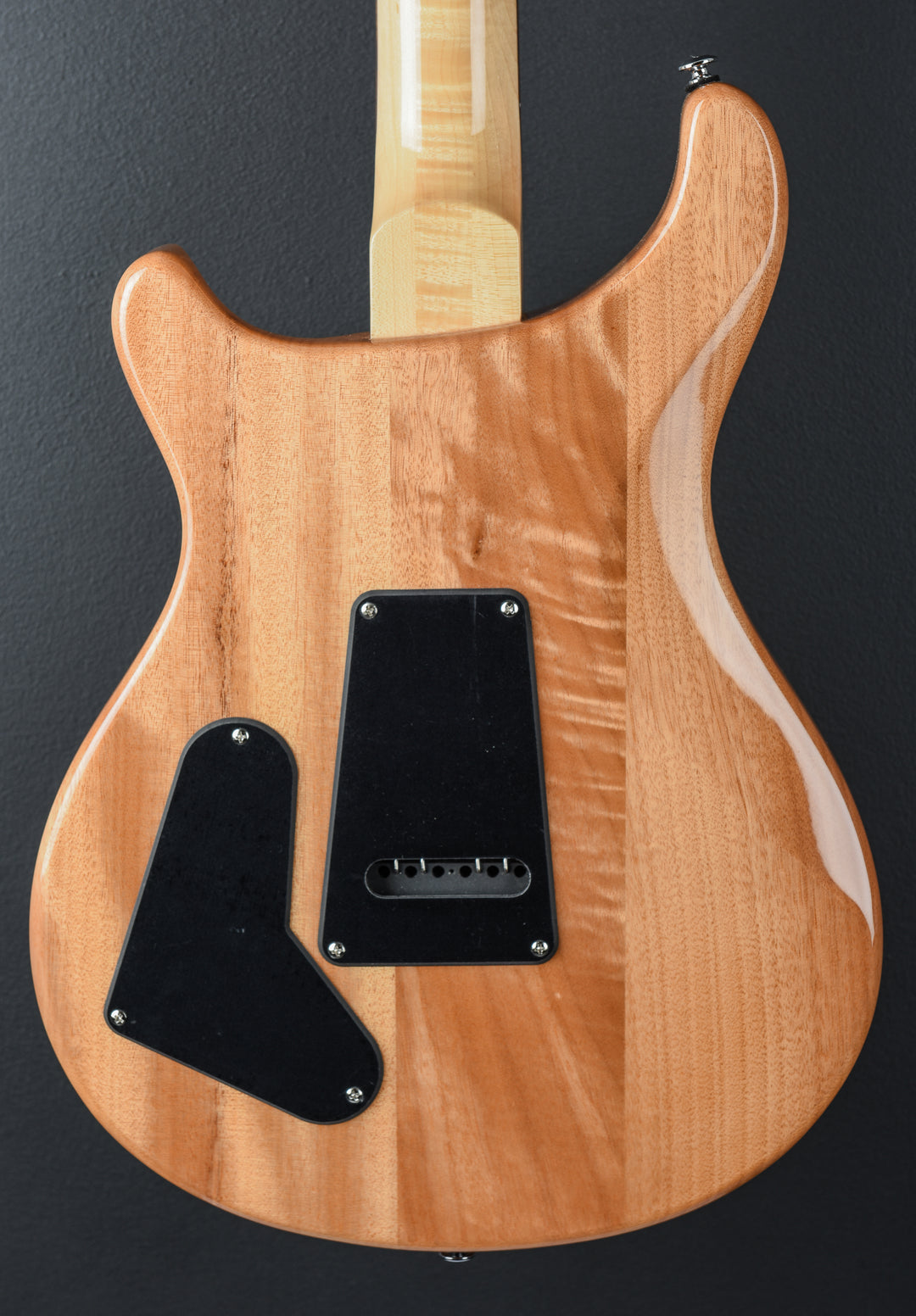 SE Custom 22 Semi-Hollow &