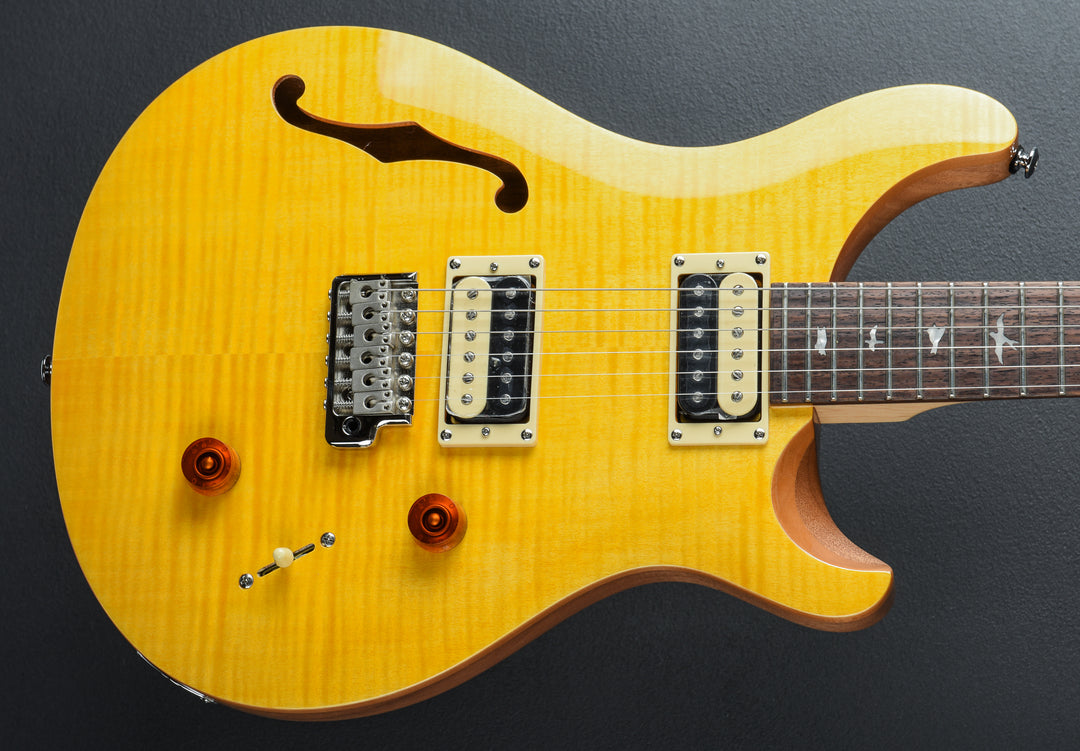 SE Custom 22 Semi-Hollow &