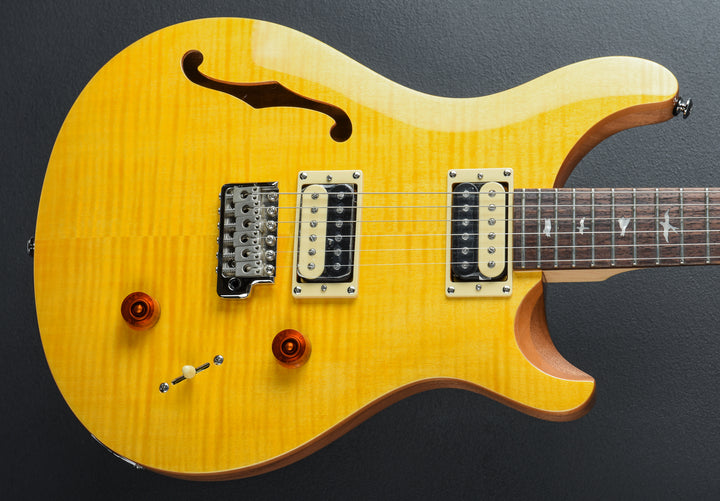 SE Custom 22 Semi-Hollow &