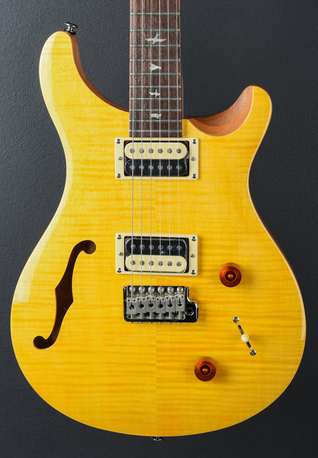 SE Custom 22 Semi-Hollow &