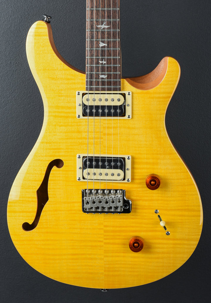 SE Custom 22 Semi-Hollow &