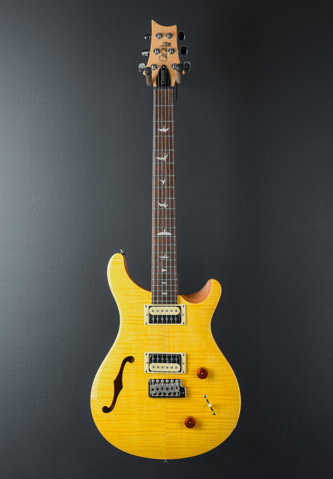 SE Custom 22 Semi-Hollow &