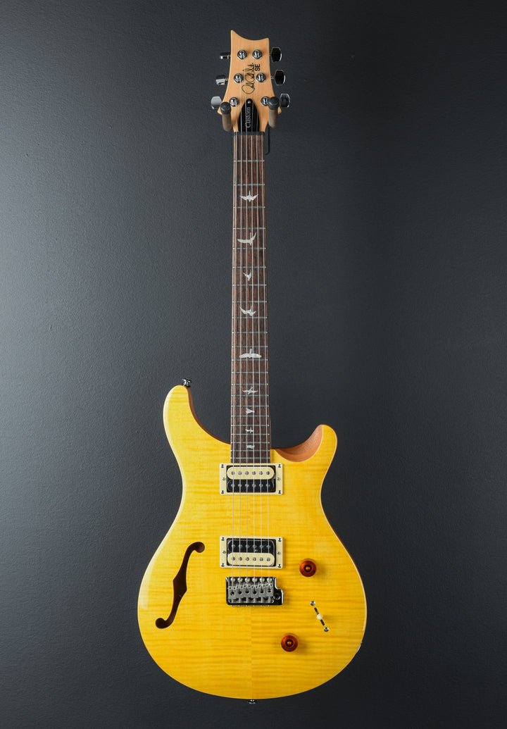 SE Custom 22 Semi-Hollow &