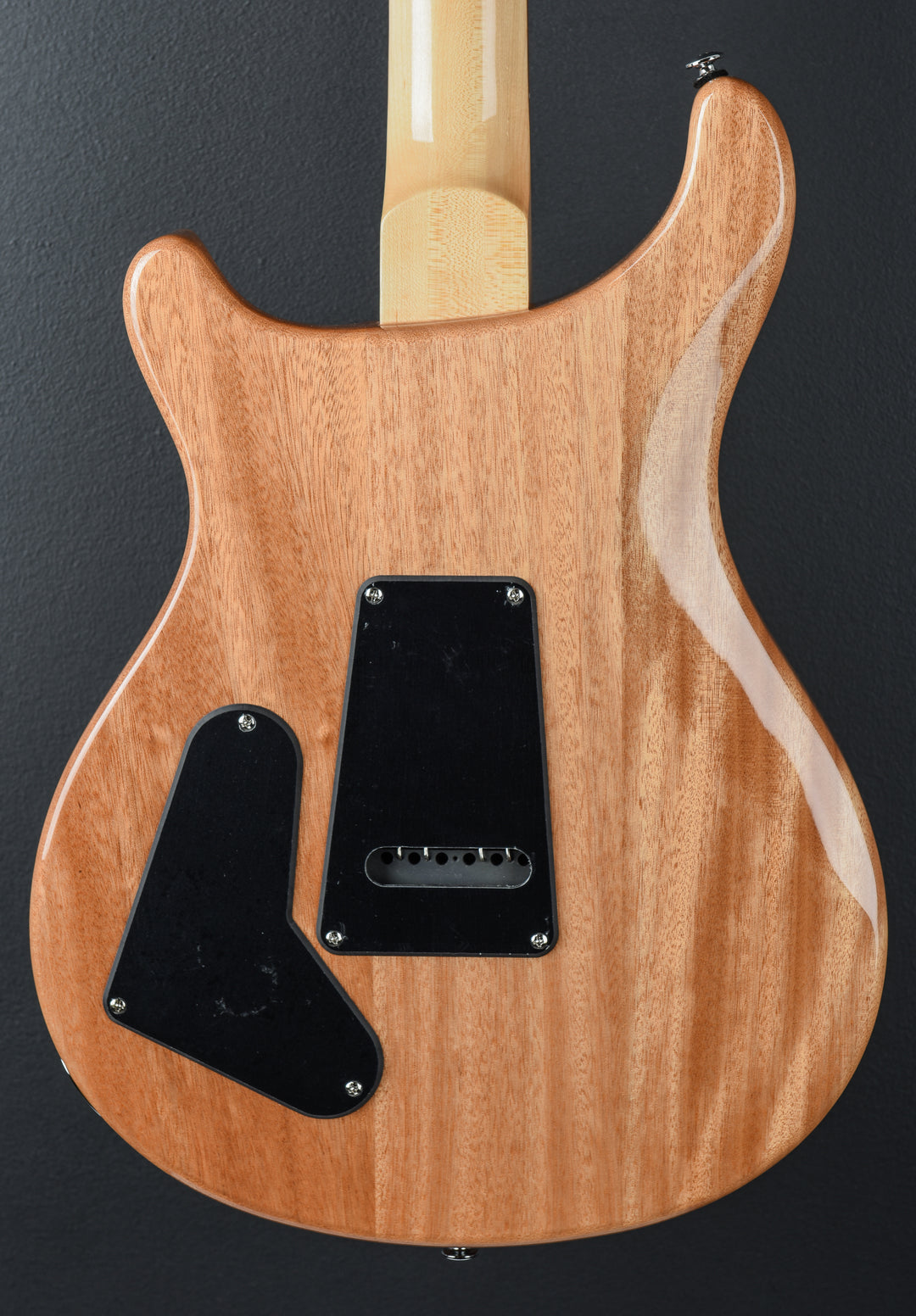 SE Custom 22 Semi-Hollow &
