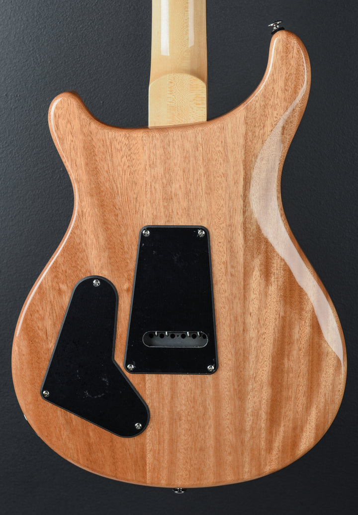 SE Custom 22 Semi-Hollow &