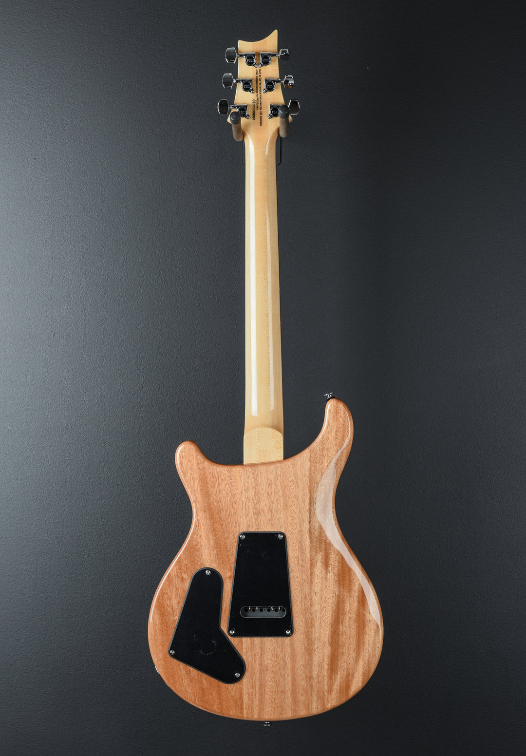 SE Custom 22 Semi-Hollow &