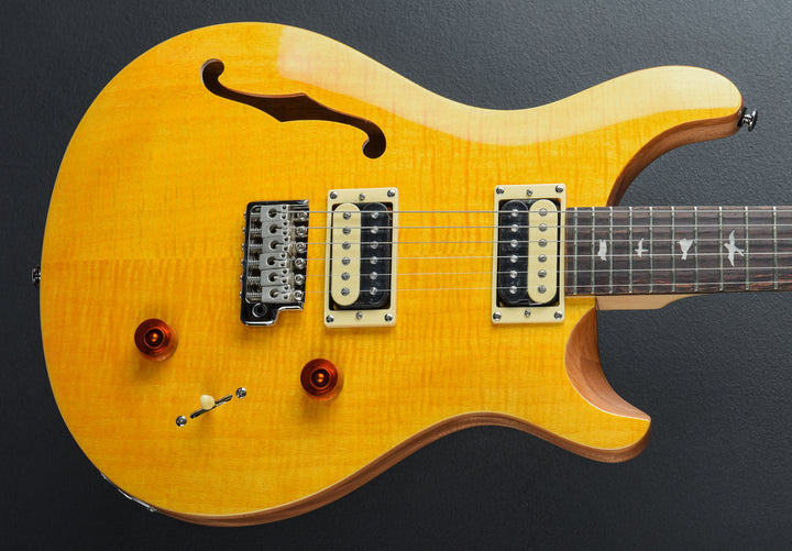 SE Custom 22 Semi-Hollow &