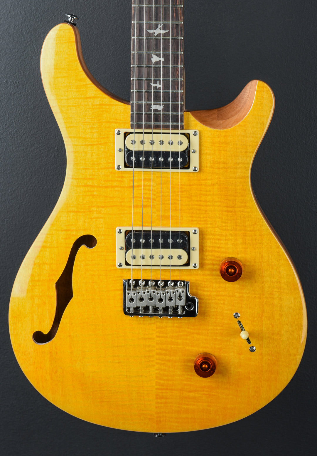 SE Custom 22 Semi-Hollow &
