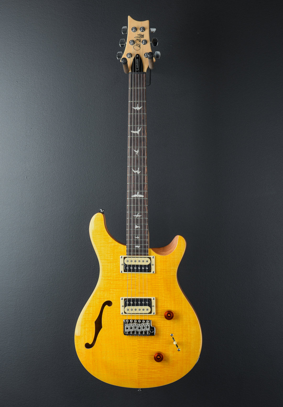SE Custom 22 Semi-Hollow &