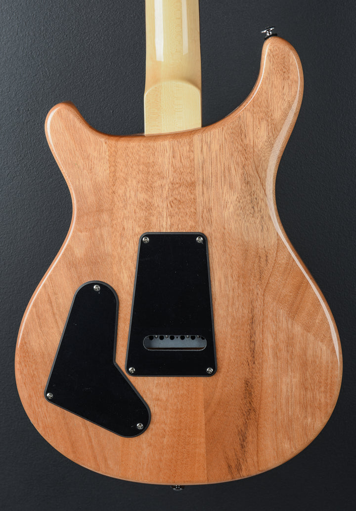 SE Custom 22 Semi-Hollow &