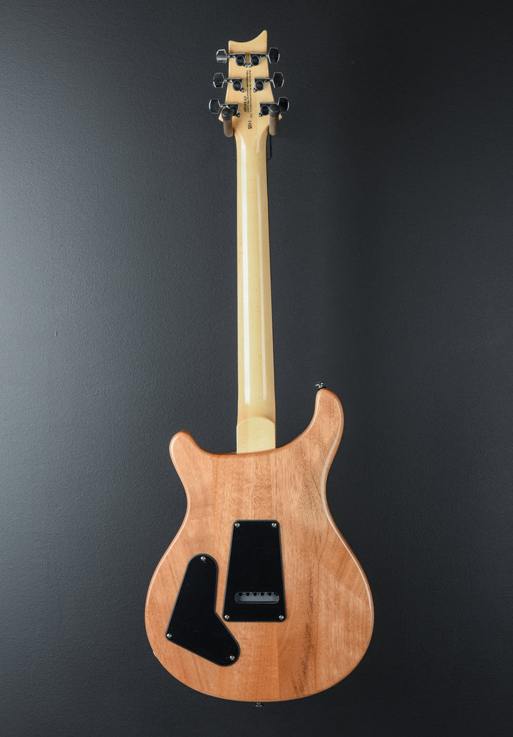 SE Custom 22 Semi-Hollow &