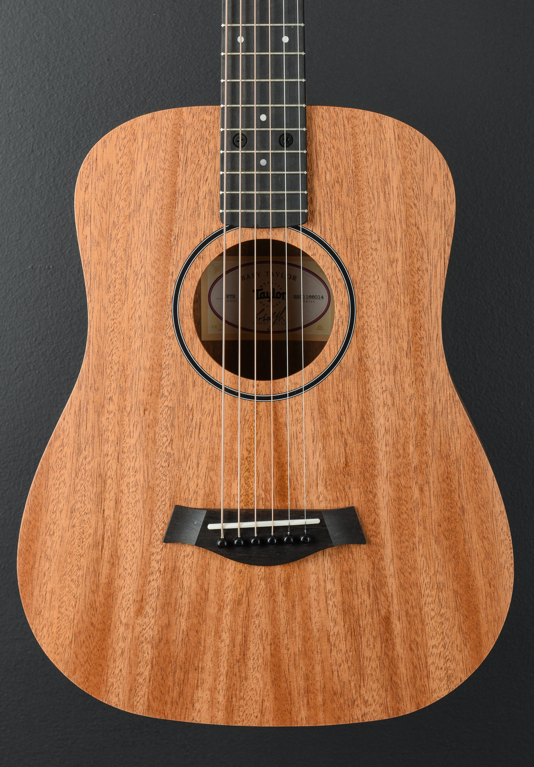 Baby Mahogany (BT2) '26