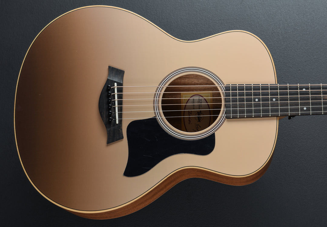 USED GS Mini-E Special Edition &