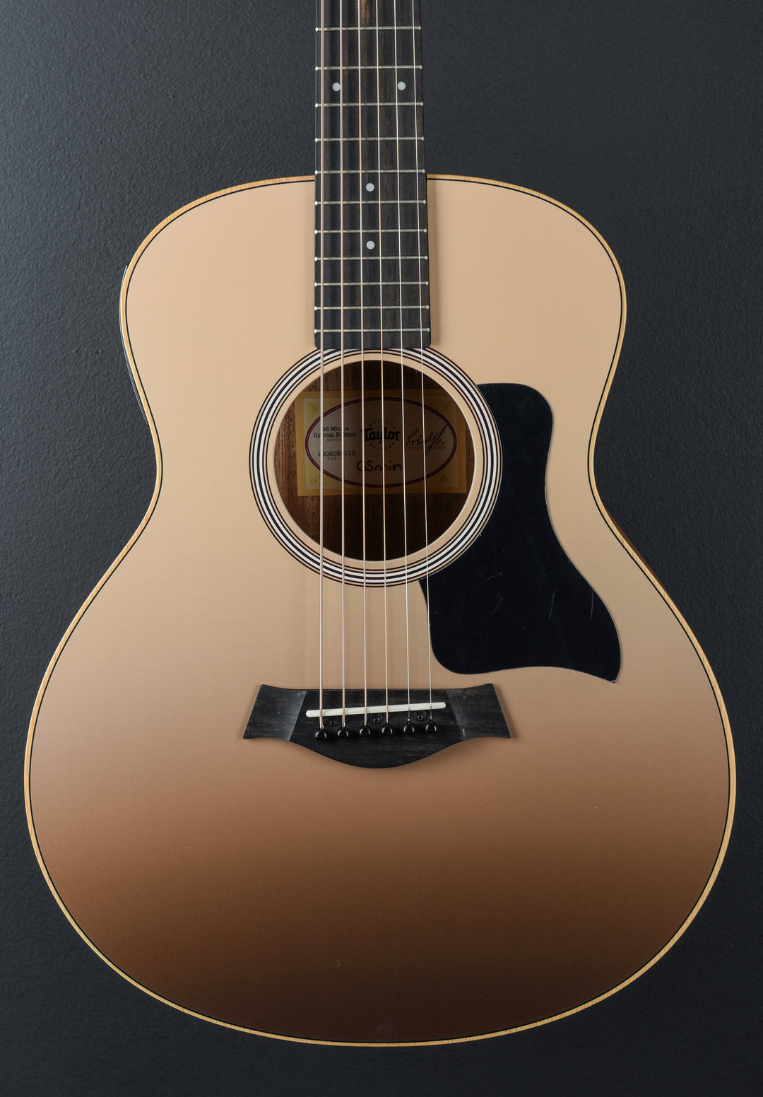 USED GS Mini-E Special Edition &