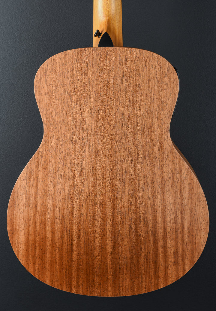USED GS Mini-E Special Edition &