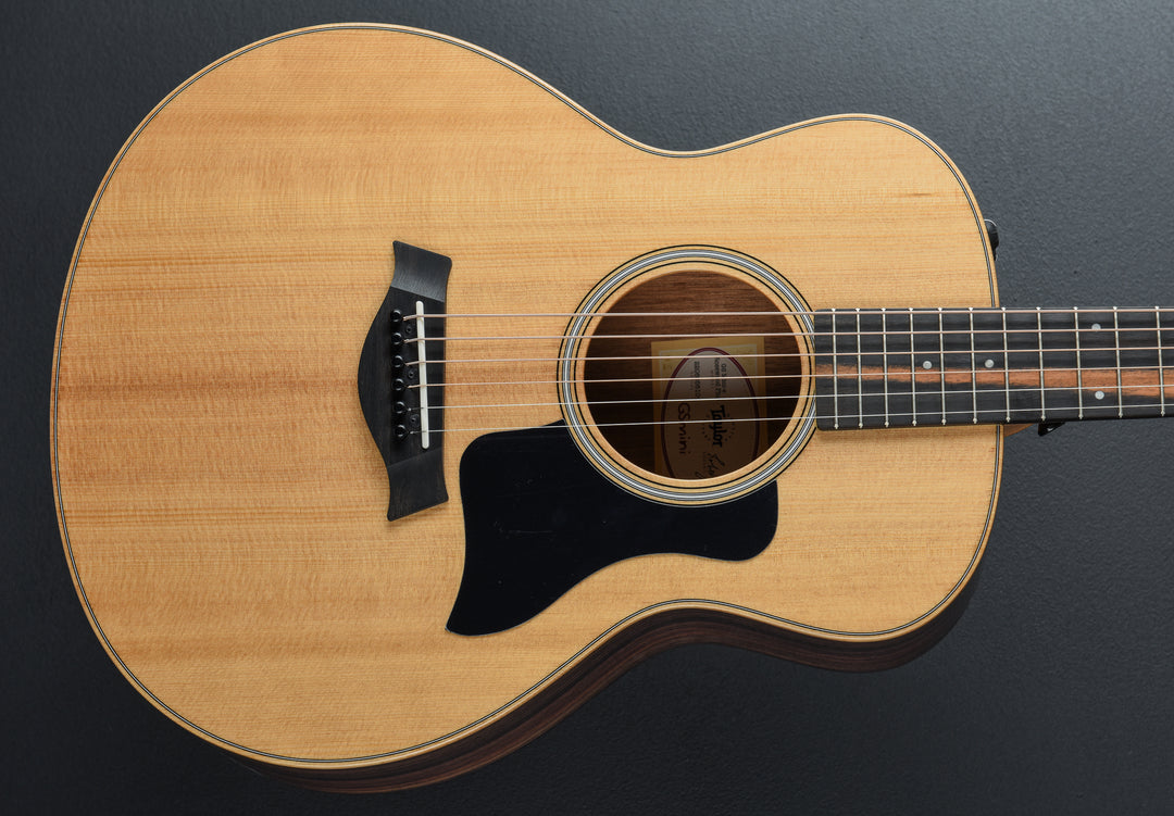 USED GS Mini-E Rosewood Plus &