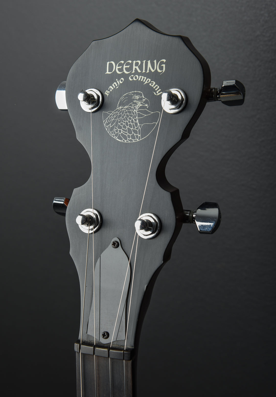 Boston 5 String Banjo '01