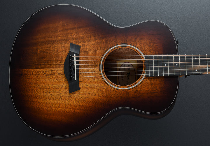 USED GS Mini-E Koa Plus &