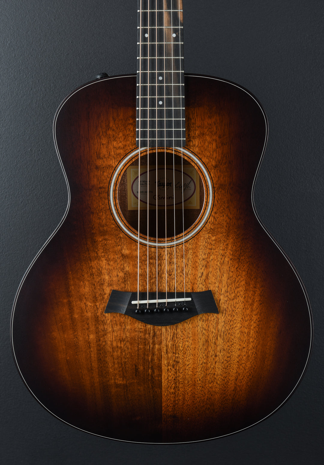 USED GS Mini-E Koa Plus &