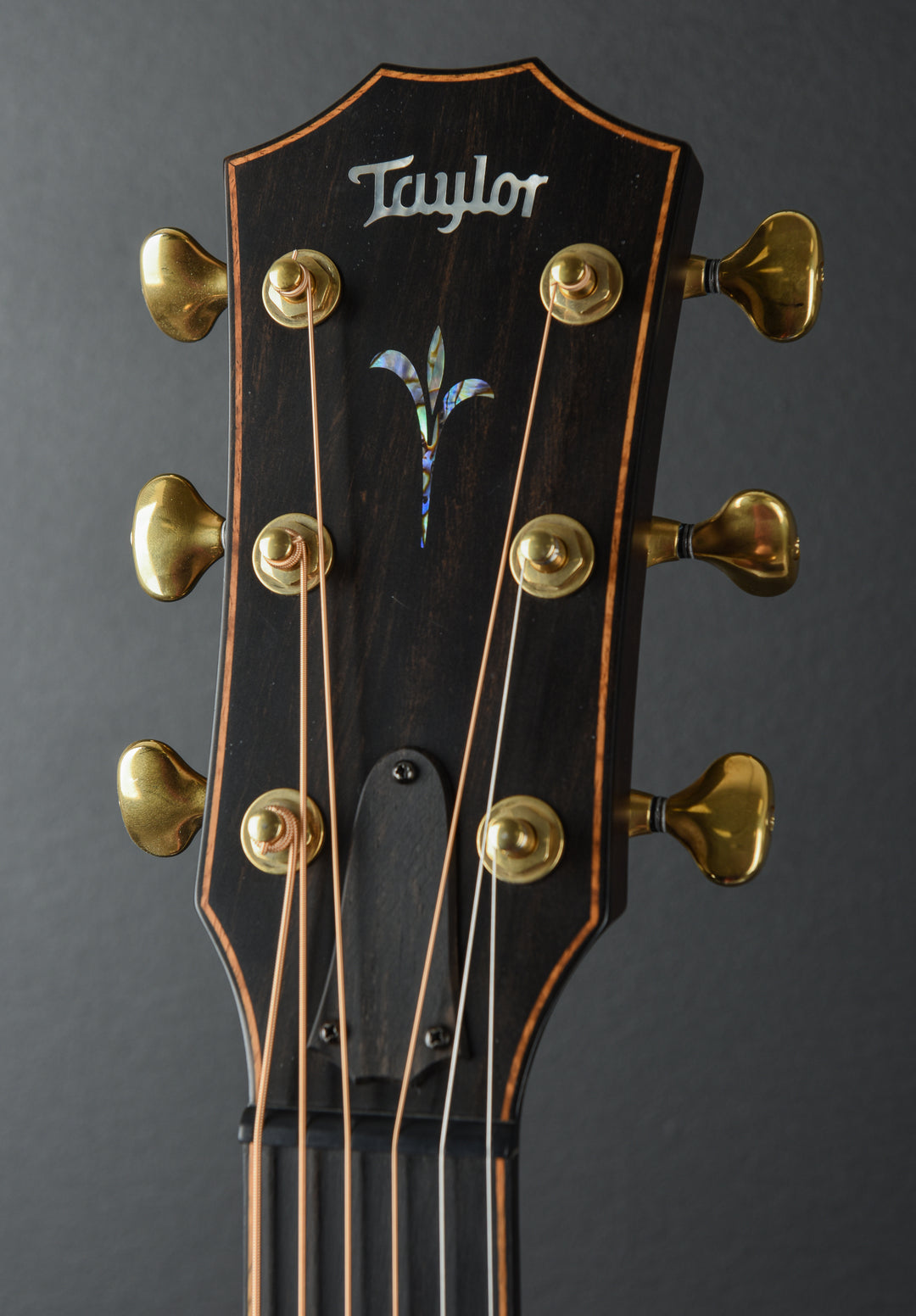 Builder's Edition K24CE '22