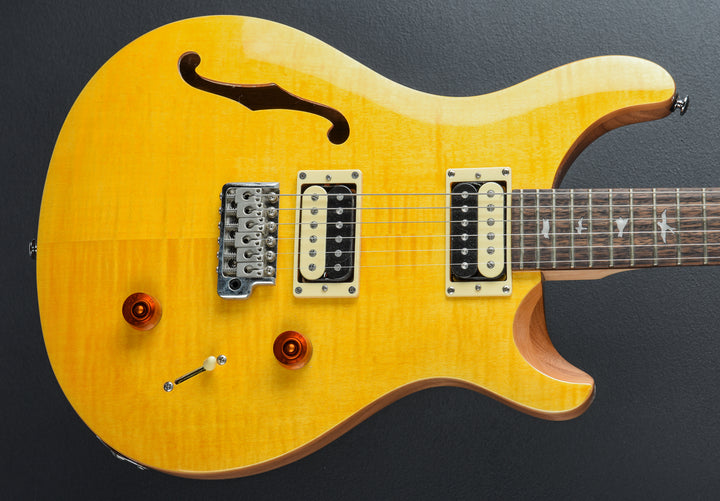 SE Custom 22 Semi-Hollow &