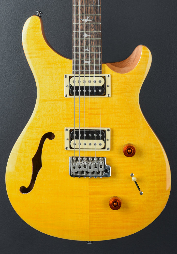 SE Custom 22 Semi-Hollow &