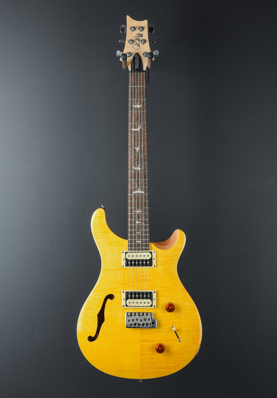 SE Custom 22 Semi-Hollow &