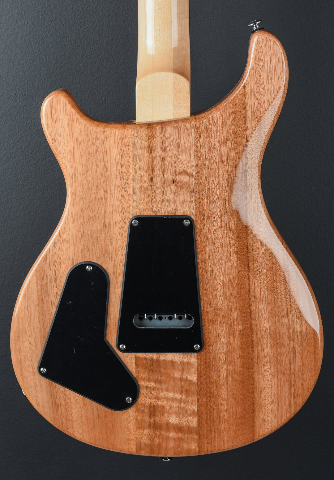 SE Custom 22 Semi-Hollow &