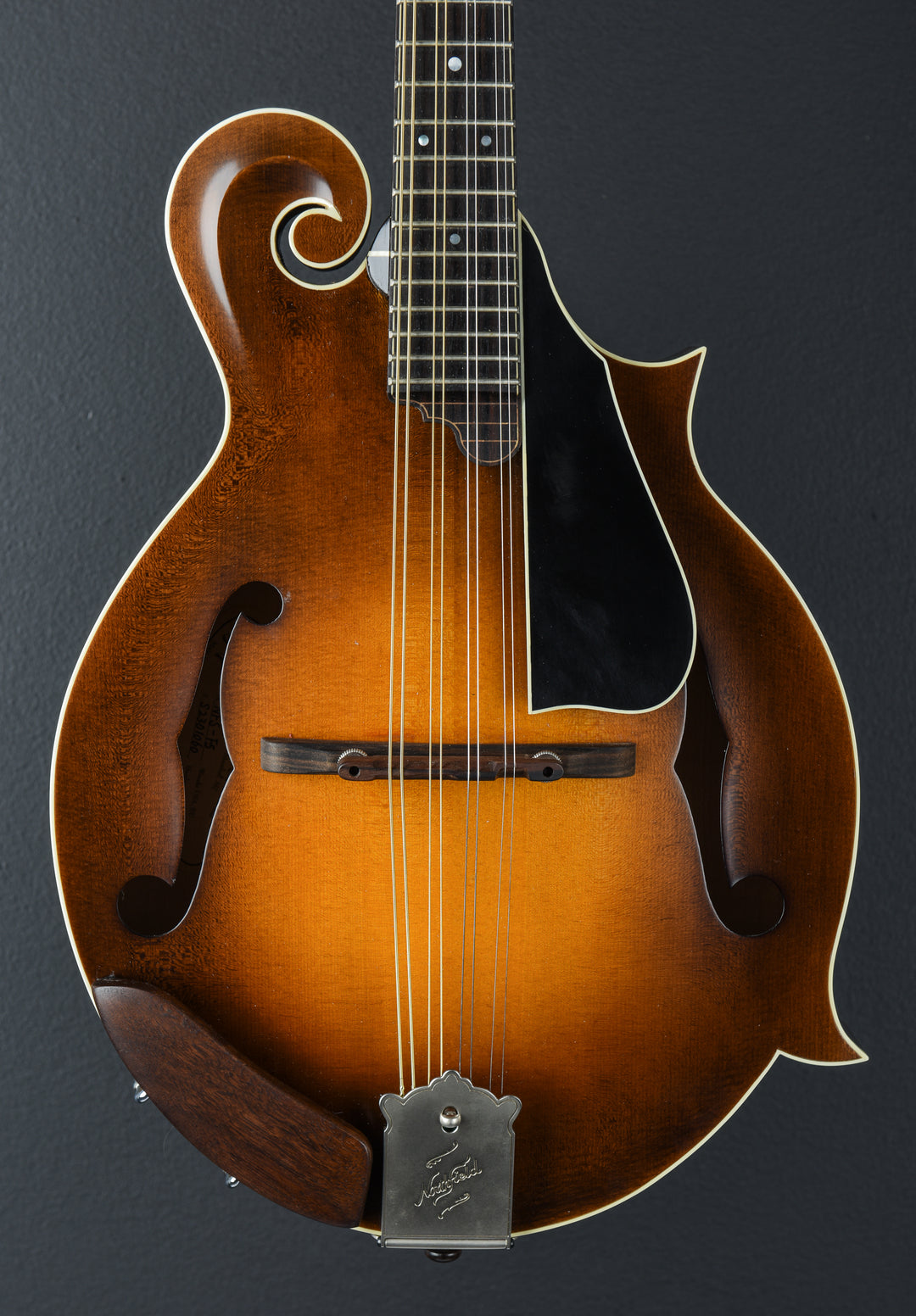 NFS-F5 Mandolin, Recent